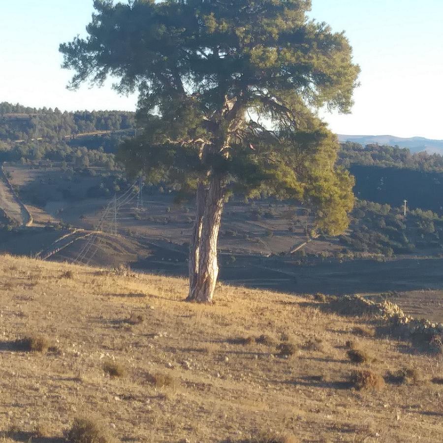 Hostal Portell Portell de Morella Екстериор снимка